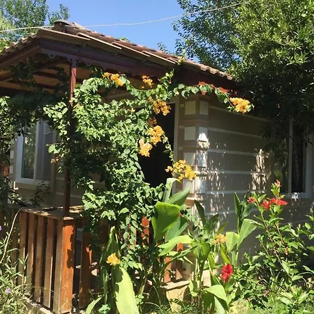 Serenity Bungalow Camyuva * Ağva