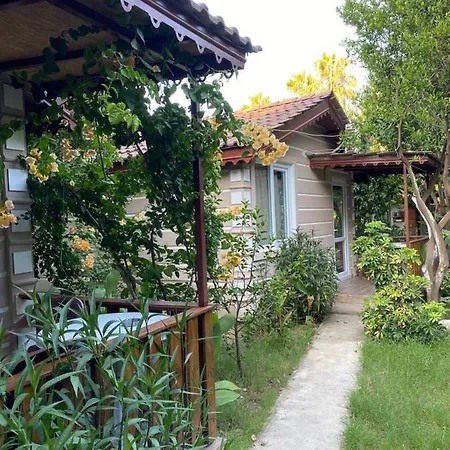 Serenity Bungalow Camyuva Oda ve Kahvaltı Ağva