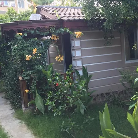 Serenity Bungalow Camyuva Oda ve Kahvaltı Ağva