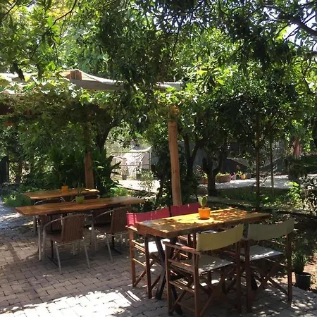 Serenity Bungalow Camyuva * Ağva