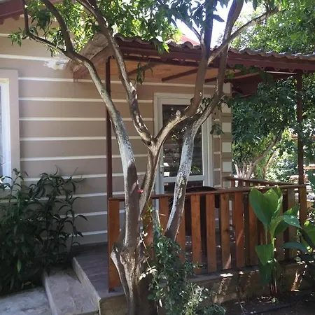 Oda ve Kahvaltı Serenity Bungalow Camyuva